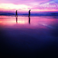 фото из отзыва ID 504264