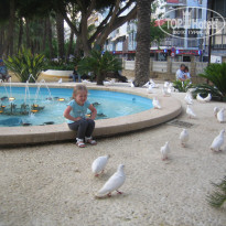 фото из отзыва ID 504373