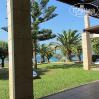 фото из отзыва ID 504378