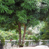 фото из отзыва ID 505183