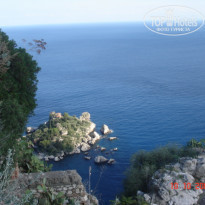 фото из отзыва ID 50676