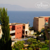 фото из отзыва ID 506267