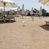 фото из отзыва ID 506465