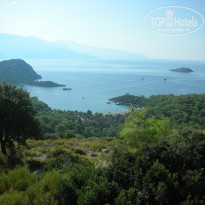 фото из отзыва ID 506678