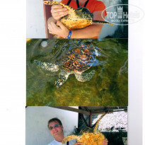 фото из отзыва ID 506813