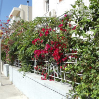 фото из отзыва ID 506888