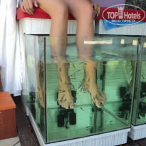 фото из отзыва ID 507326