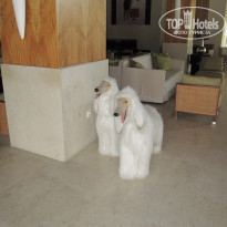 фото из отзыва ID 507339