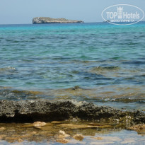 фото из отзыва ID 507500