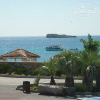 фото из отзыва ID 507500