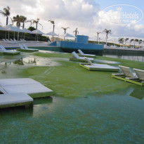 фото из отзыва ID 507644