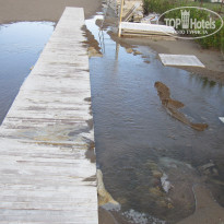 фото из отзыва ID 507644