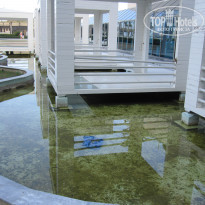 фото из отзыва ID 507644