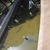 фото из отзыва ID 507644