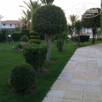 фото из отзыва ID 507658