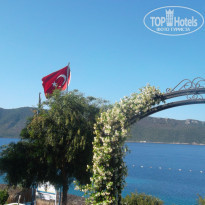 фото из отзыва ID 507659