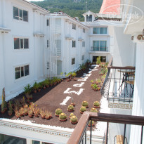 фото из отзыва ID 507543