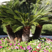 фото из отзыва ID 508104