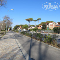 фото из отзыва ID 508134