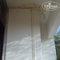 фото из отзыва ID 508249