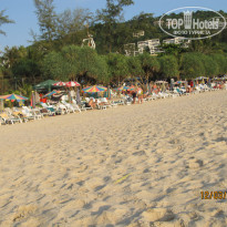 фото из отзыва ID 508350