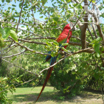 фото из отзыва ID 508406