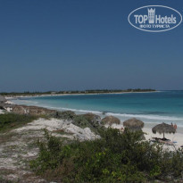 фото из отзыва ID 508478