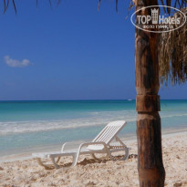 фото из отзыва ID 508478