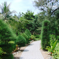 фото из отзыва ID 508552