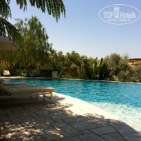 фото из отзыва ID 508657