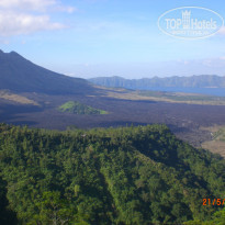 фото из отзыва ID 508704