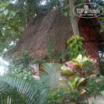 фото из отзыва ID 508705