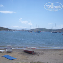 фото из отзыва ID 508881