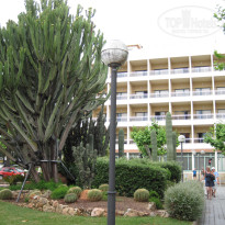 фото из отзыва ID 508977