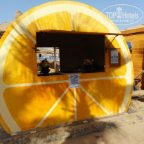 фото из отзыва ID 509081