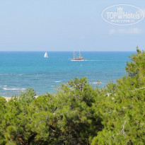 фото из отзыва ID 509390