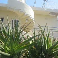 фото из отзыва ID 509420