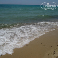 фото из отзыва ID 509504