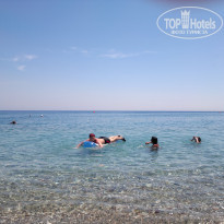 фото из отзыва ID 509527