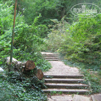 фото из отзыва ID 509774