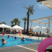 фото из отзыва ID 509788