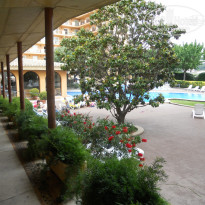 фото из отзыва ID 509794