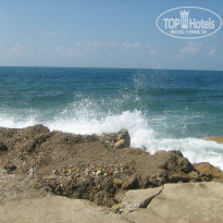 фото из отзыва ID 509954