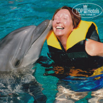 фото из отзыва ID 509142