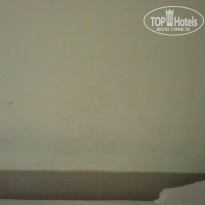 фото из отзыва ID 509601