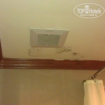 фото из отзыва ID 509601