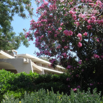 фото из отзыва ID 510023