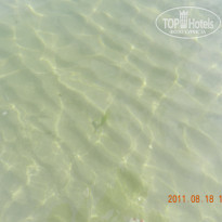 фото из отзыва ID 510261