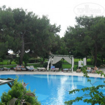 фото из отзыва ID 510271