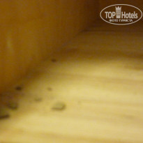 фото из отзыва ID 510556